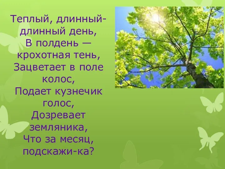 Теплый, длинный-длинный день, В полдень — крохотная тень, Зацветает в