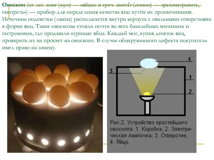 Овоскоп (от лат. ovum (овум) — «яйцо» и греч. σκοπεῖν