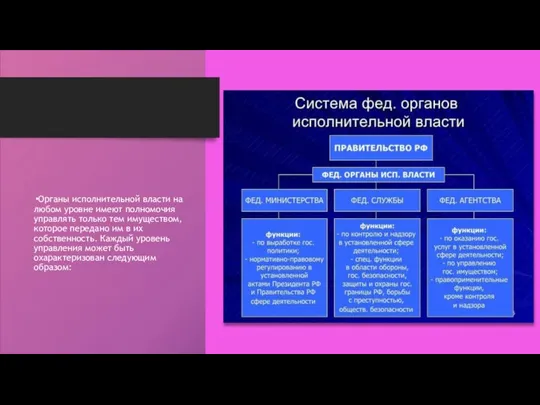 Органы исполнительной власти на любом уровне имеют полномочия управлять только