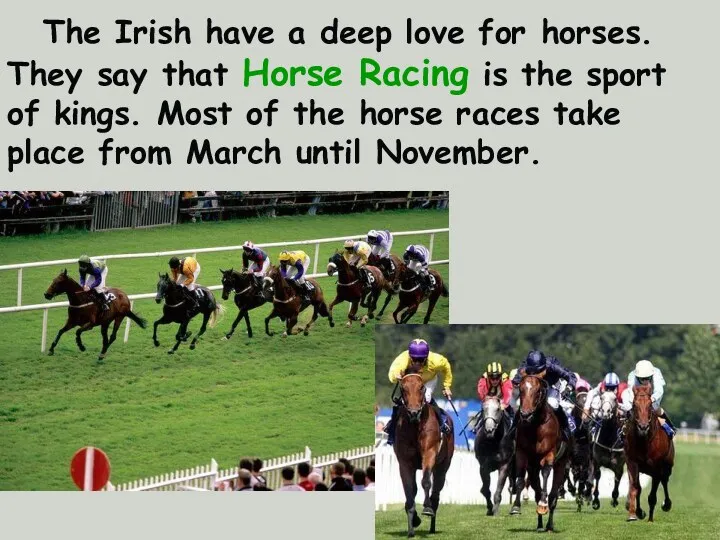 The Irish have a deep love for horses. They say