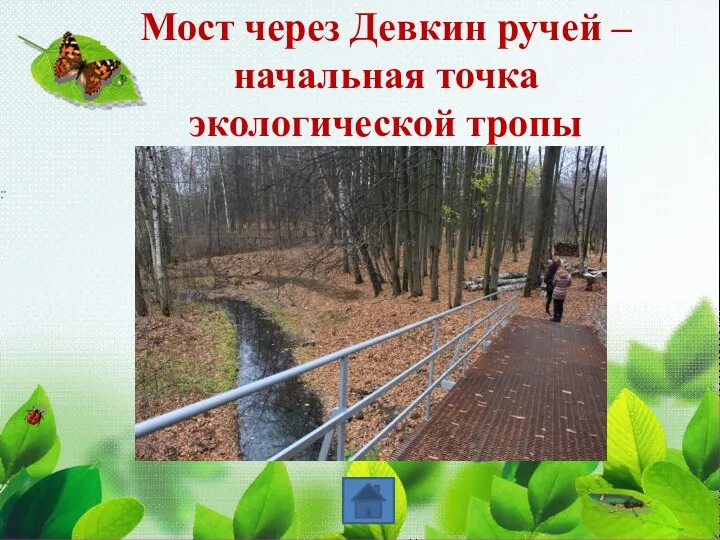 Мост через Девкин ручей – начальная точка экологической тропы