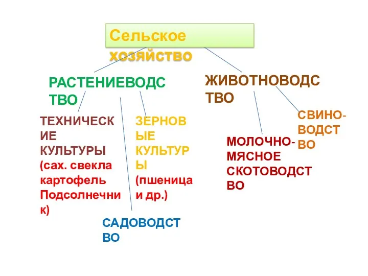 Сельское хозяйство РАСТЕНИЕВОДСТВО ЖИВОТНОВОДСТВО ТЕХНИЧЕСКИЕ КУЛЬТУРЫ (сах. свекла картофель Подсолнечник)