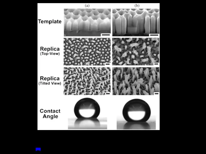 FE-SEM images of AAO templates anodized at the second anodization