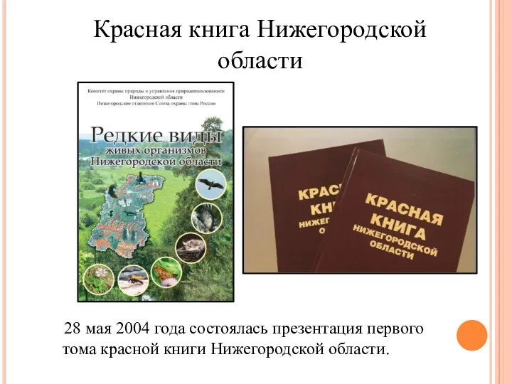 28 мая 2004 года состоялась презентация первого тома красной книги Нижегородской области. Красная книга Нижегородской области