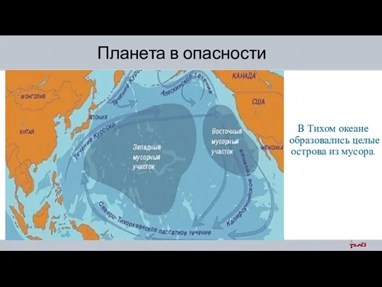 В Тихом океане образовались целые острова из мусора. Планета в опасности