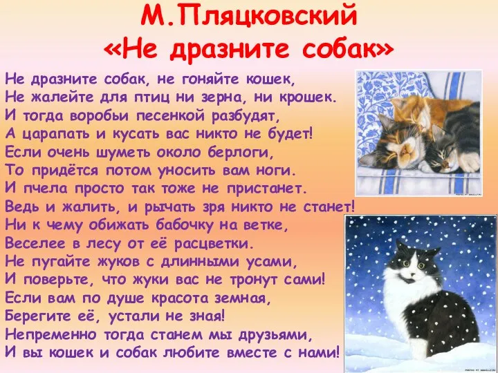 М.Пляцковский «Не дразните собак» Не дразните собак, не гоняйте кошек,