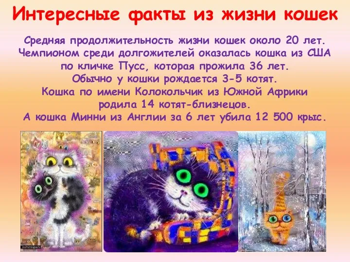 Интересные факты из жизни кошек Средняя продолжительность жизни кошек около