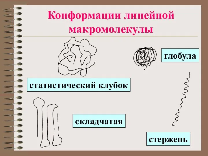 Конформации линейной макромолекулы глобула статистический клубок стержень складчатая