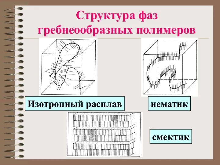 Структура фаз гребнеообразных полимеров Изотропный расплав нематик смектик