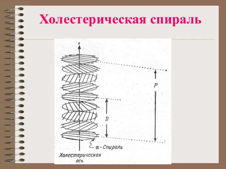 Холестерическая спираль