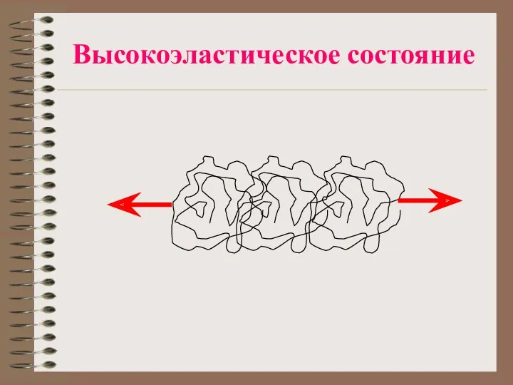 Высокоэластическое состояние