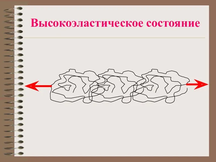 Высокоэластическое состояние