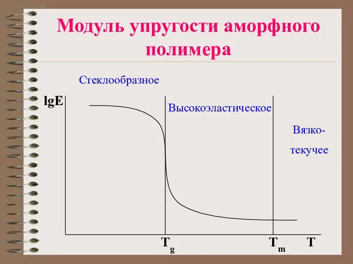 Модуль упругости аморфного полимера lgE T Tm Tg Стеклообразное Высокоэластическое Вязко- текучее