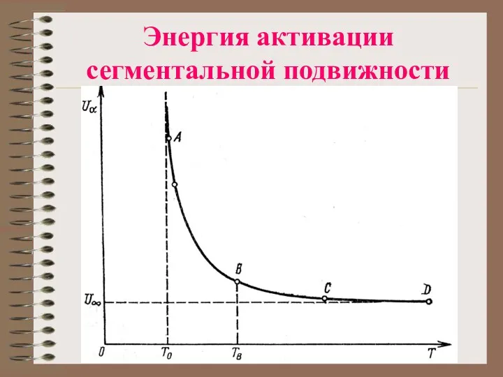 Энергия активации сегментальной подвижности