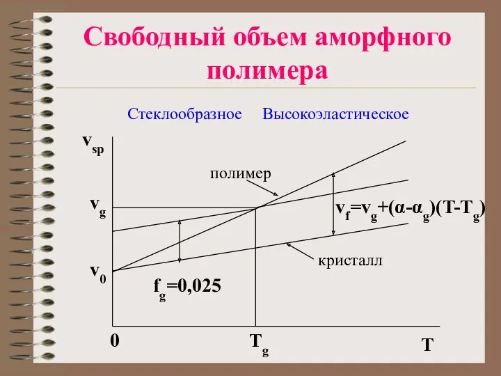 Свободный объем аморфного полимера Стеклообразное Высокоэластическое T Tg 0 vsp vg v0 кристалл полимер vf=vg+(α-αg)(T-Tg) fg=0,025