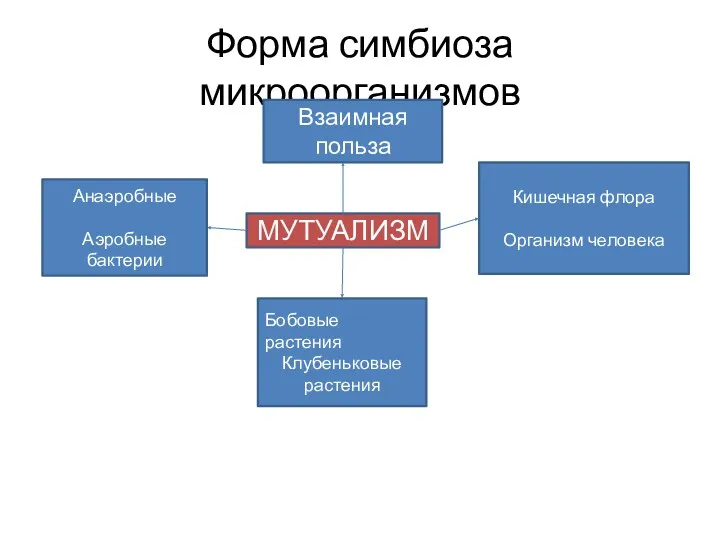 Форма симбиоза микроорганизмов Анаэробные Аэробные бактерии Бобовые растения Клубеньковые растения