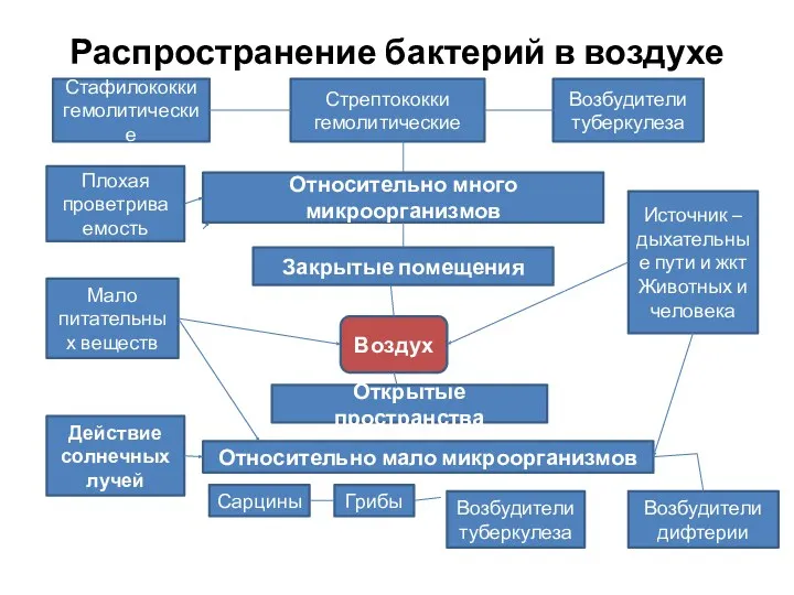 Распространение бактерий в воздухе Относительно много микроорганизмов Стафилококки гемолитические Стрептококки