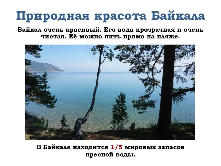 Природная красота Байкала Байкал очень красивый. Его вода прозрачная и