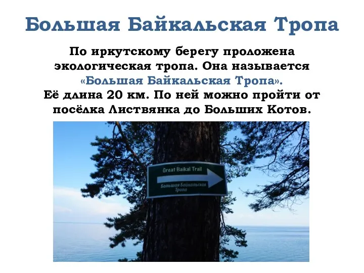 Большая Байкальская Тропа По иркутскому берегу проложена экологическая тропа. Она