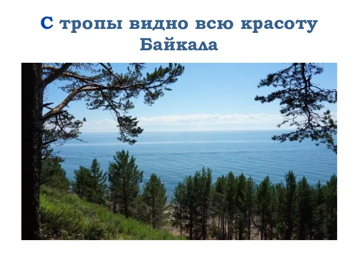 С тропы видно всю красоту Байкала