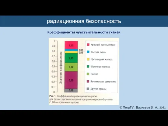 © ПетрГУ, Васильев В. А., 2021 радиационная безопасность Коэффициенты чувствительности тканей