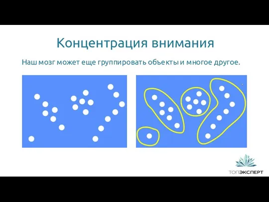 Концентрация внимания 1 Наш мозг может еще группировать объекты и многое другое.