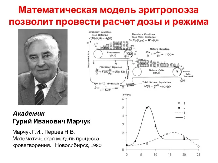 Математическая модель эритропоэза позволит провести расчет дозы и режима гипоксии