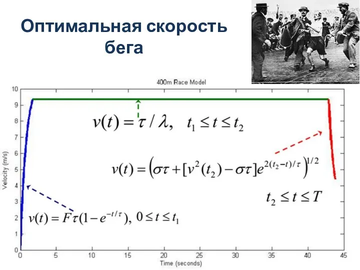 Оптимальная скорость бега