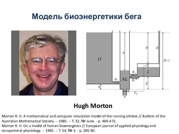 Hugh Morton Morton R. H. A mathematical and computer simulation