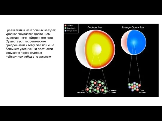 Гравитация в нейтронных звёздах уравновешивается давлением вырожденного нейтронного газа., Существуют