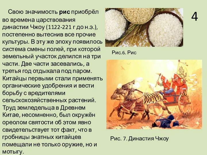 Свою значимость рис приобрёл во времена царствования династии Чжоу (1122-221