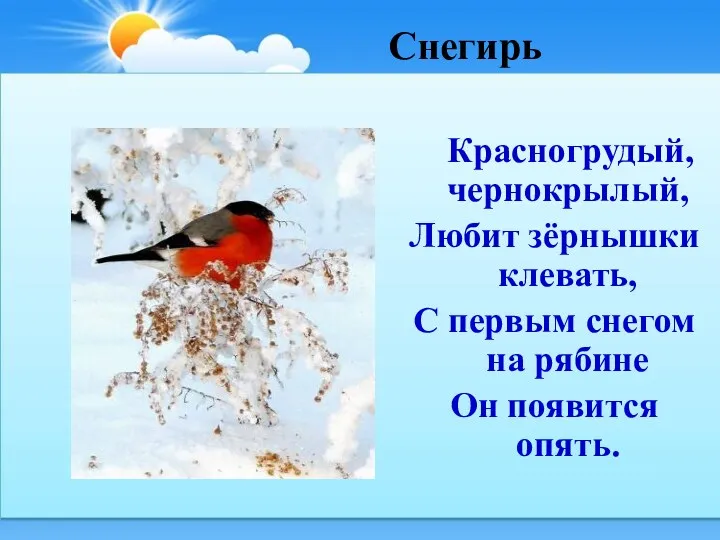 Снегирь Красногрудый, чернокрылый, Любит зёрнышки клевать, С первым снегом на рябине Он появится опять.
