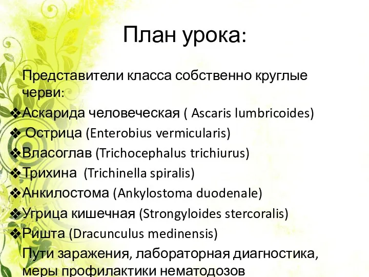 План урока: Представители класса собственно круглые черви: Аскарида человеческая (