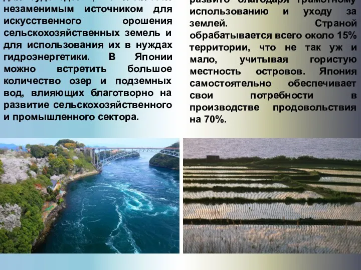 Япония изрезана множеством рек, протекающих по ее территории. Они не