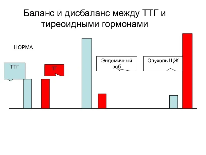 Баланс и дисбаланс между ТТГ и тиреоидными гормонами ТТГ ТГ НОРМА Эндемичный зоб Опухоль ЩЖ