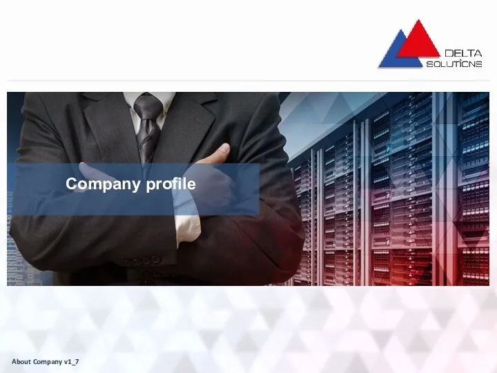 Delta Solutions. Company profile