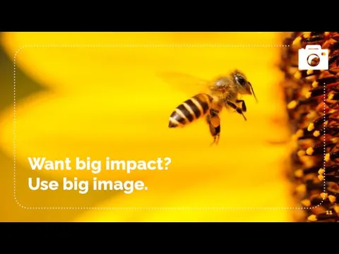 Want big impact? Use big image.