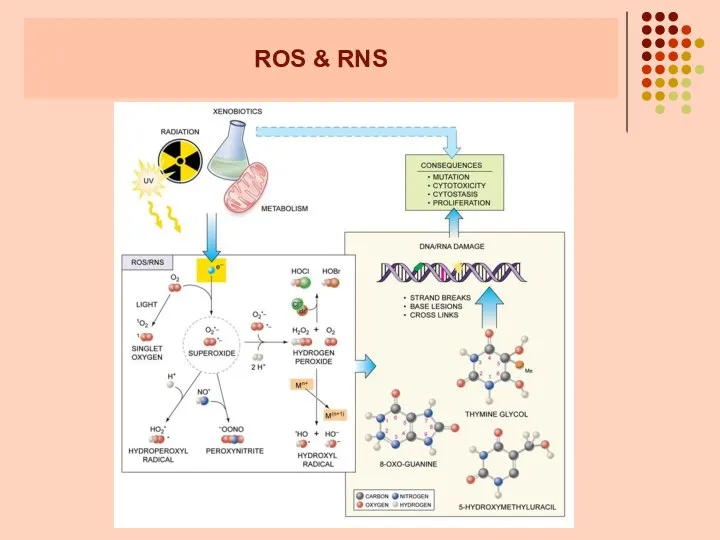 ROS & RNS