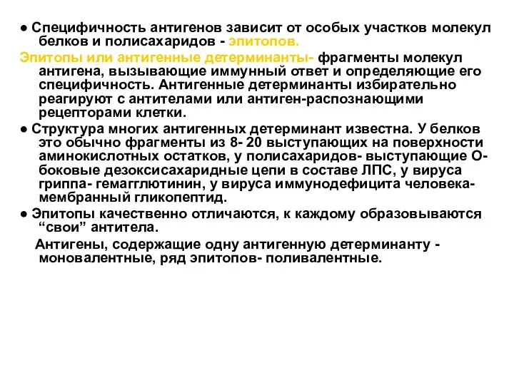 ● Специфичность антигенов зависит от особых участков молекул белков и