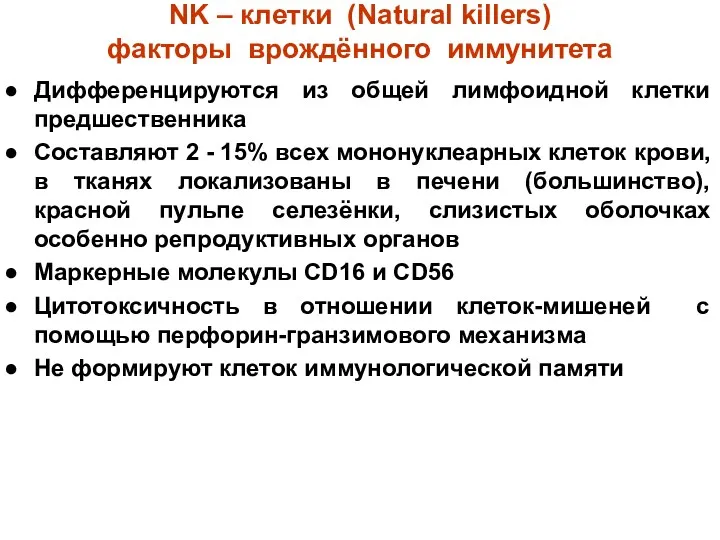 NK – клетки (Natural killers) факторы врождённого иммунитета Дифференцируются из