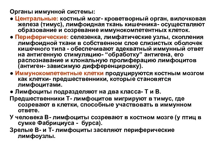 Органы иммунной системы: ● Центральные: костный мозг- кроветворный орган, вилочковая