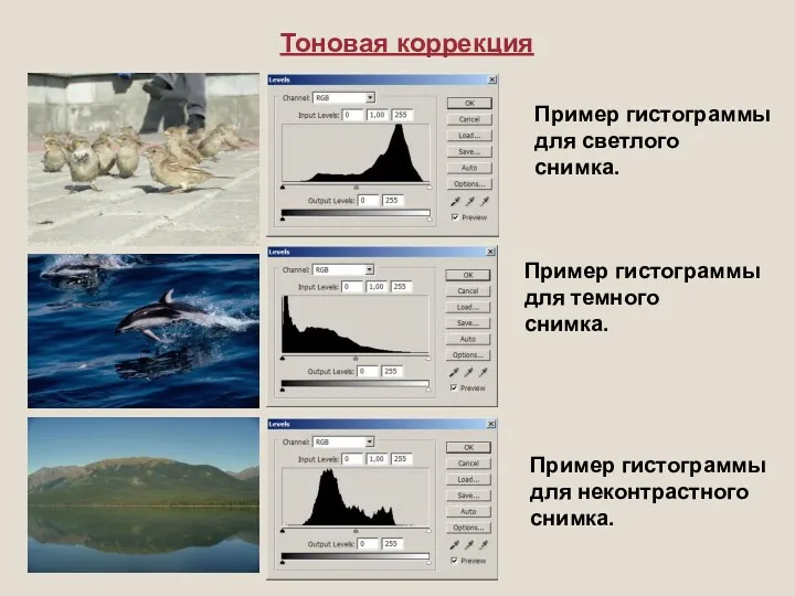 Тоновая коррекция Пример гистограммы для светлого снимка. Пример гистограммы для