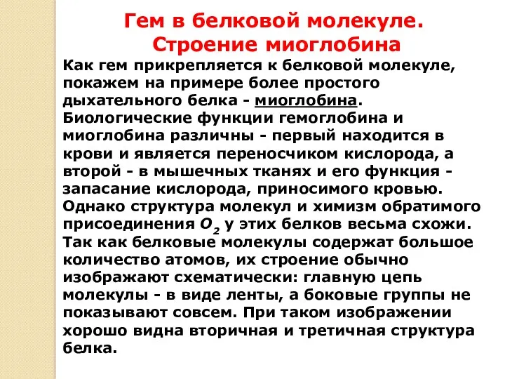 Гем в белковой молекуле. Строение миоглобина Как гем прикрепляется к