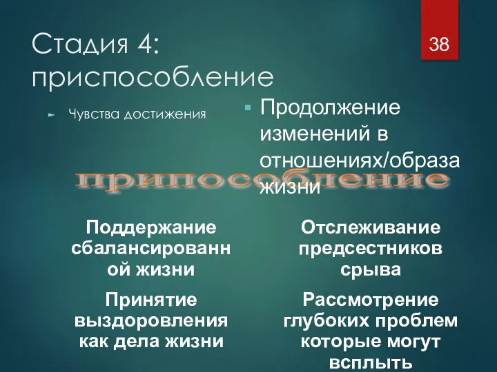 Стадия 4: приспособление Чувства достижения припособление Поддержание сбалансированной жизни Принятие