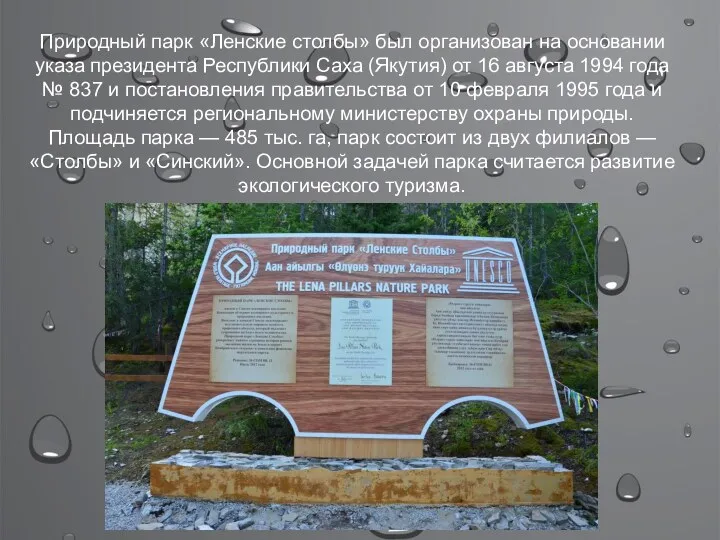 Природный парк «Ленские столбы» был организован на основании указа президента