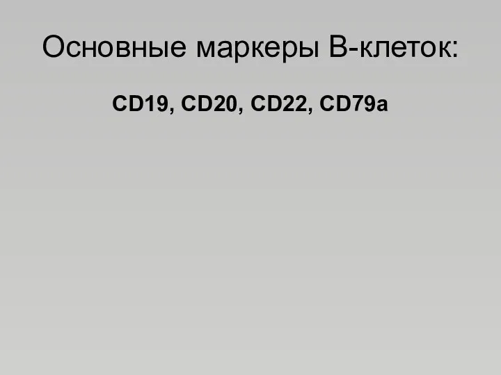 Основные маркеры В-клеток: СD19, CD20, CD22, CD79a