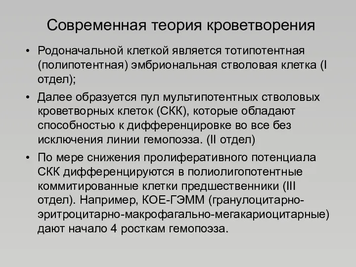 Современная теория кроветворения Родоначальной клеткой является тотипотентная (полипотентная) эмбриональная стволовая