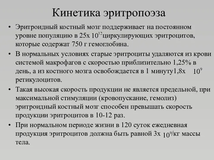 Кинетика эритропоэза Эритроидный костный мозг поддерживает на постоянном уровне популяцию