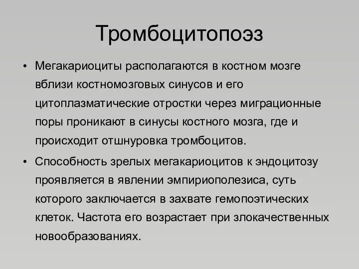 Тромбоцитопоэз Мегакариоциты располагаются в костном мозге вблизи костномозговых синусов и