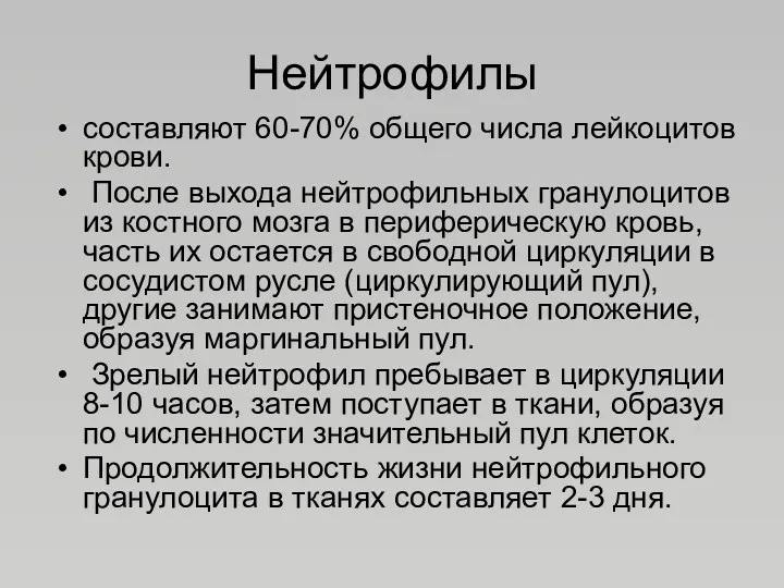 Нейтрофилы составляют 60-70% общего числа лейкоцитов крови. После выхода нейтрофильных